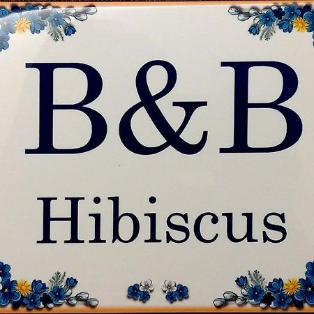 B&B Hibiscus Porto SantʼElpidio エクステリア 写真