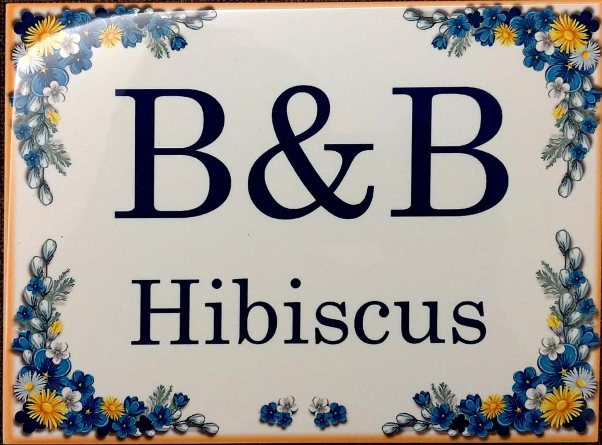 B&B Hibiscus Porto SantʼElpidio エクステリア 写真